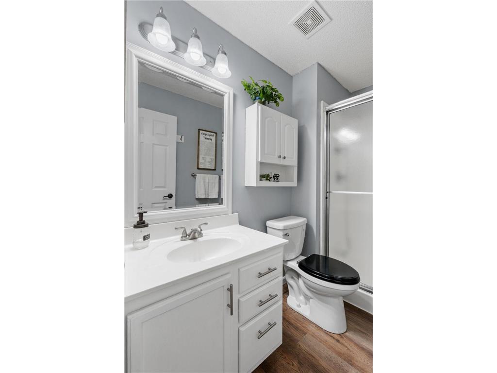 15685 Chestnut Way Rosemount MN 55068 7059668 image37