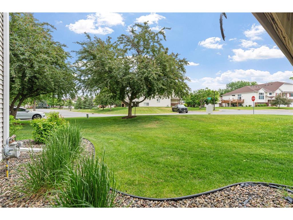 15685 Chestnut Way Rosemount MN 55068 7059668 image48