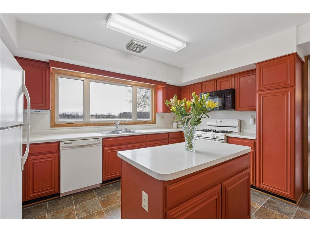 1569 Hansack Ave NE Saint Michael MN 55376 - Beebe 7047432 image16
