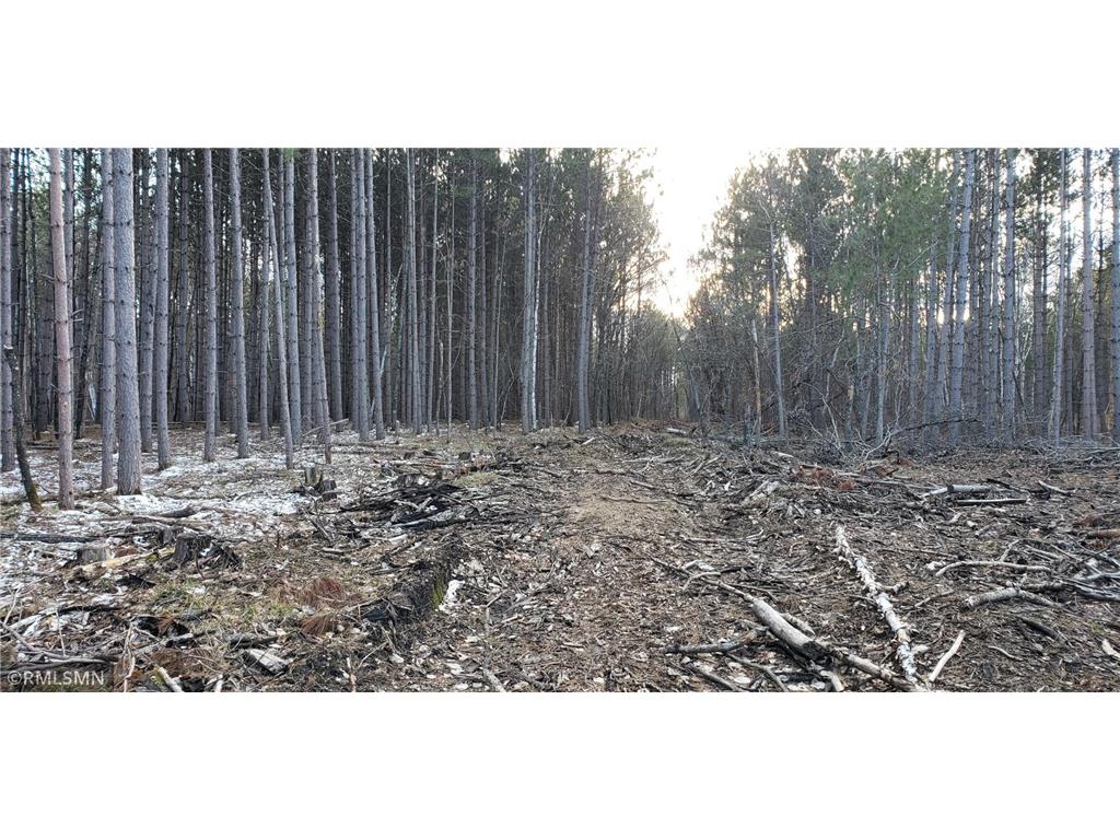 15695 Crescent Ridge Trail Nevis MN 56467 - Fourth Crow Wing 6262037 image1