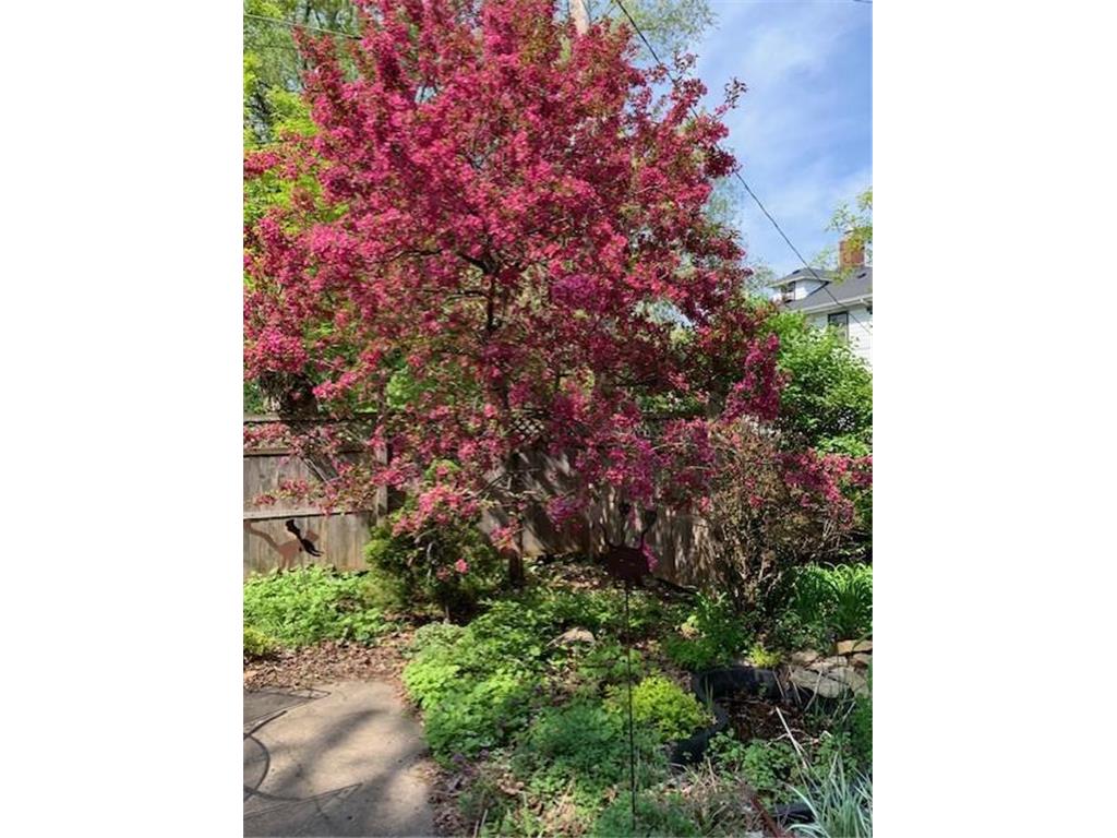 157 Bates Avenue Saint Paul MN 55106 7095579 image33