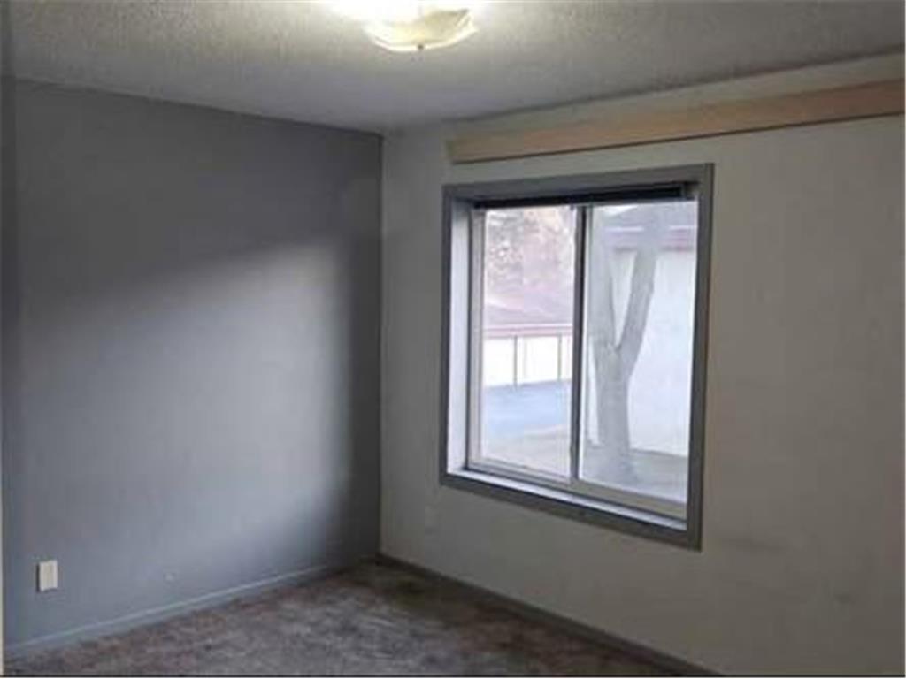 157 Mindy Lane #29 Montrose MN 55363 7084766 image14
