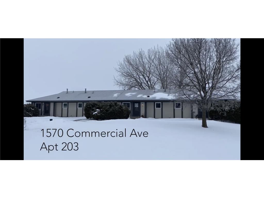 1570 Commercial Avenue 203, Victoria, MN, 55386 MLS 6323758 Edina