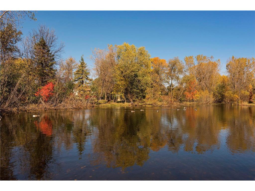 15710 26th Avenue N #D Plymouth MN 55447 7073864 image42