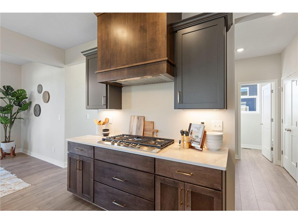 15717 Aquila Avenue Savage MN 55378 7016944 image15