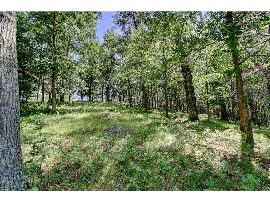 15727 Ester Drive Park Rapids MN 56470 6760138 image11