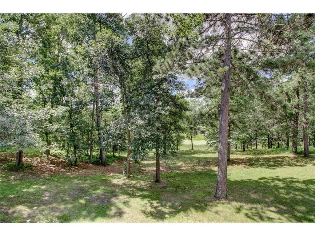 15727 Ester Drive Park Rapids MN 56470 6760138 image16