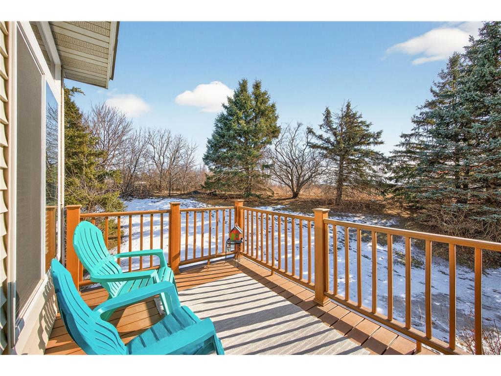 15738 Chasewood Court Rosemount MN 55068 6825731 image29