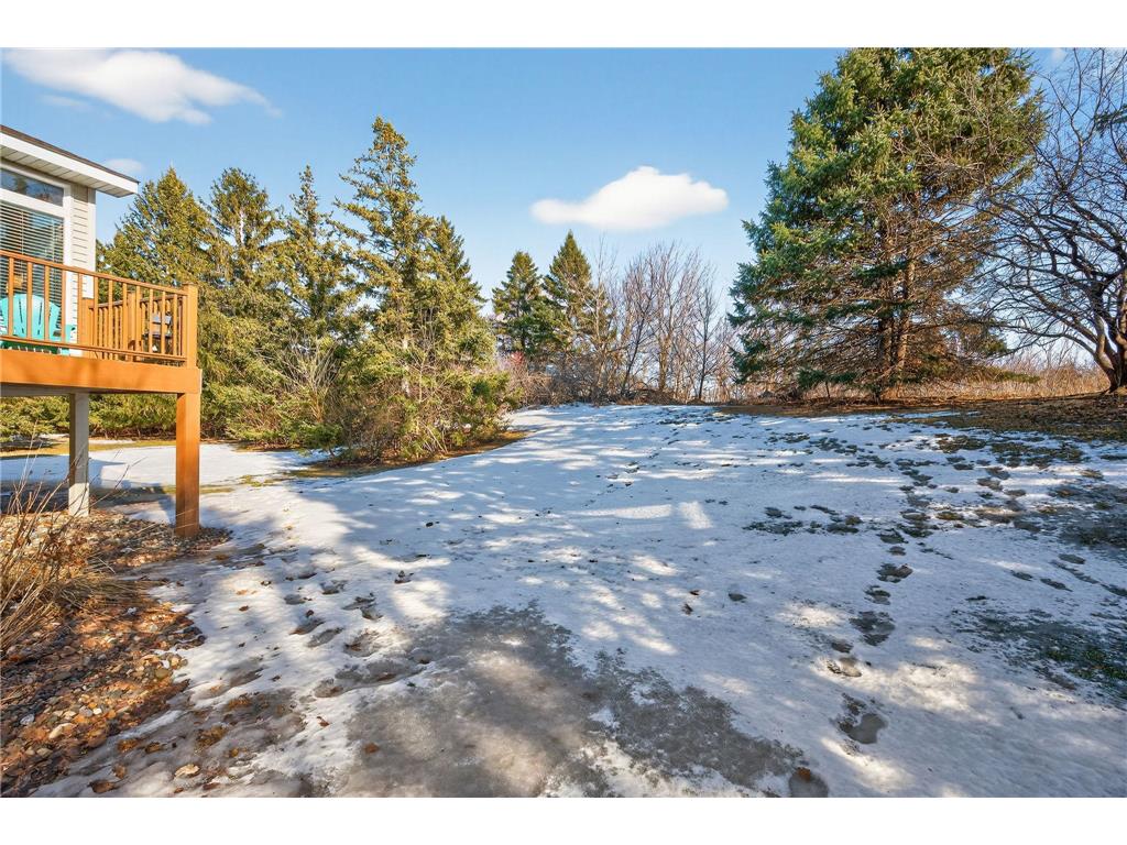 15738 Chasewood Court Rosemount MN 55068 6825731 image30