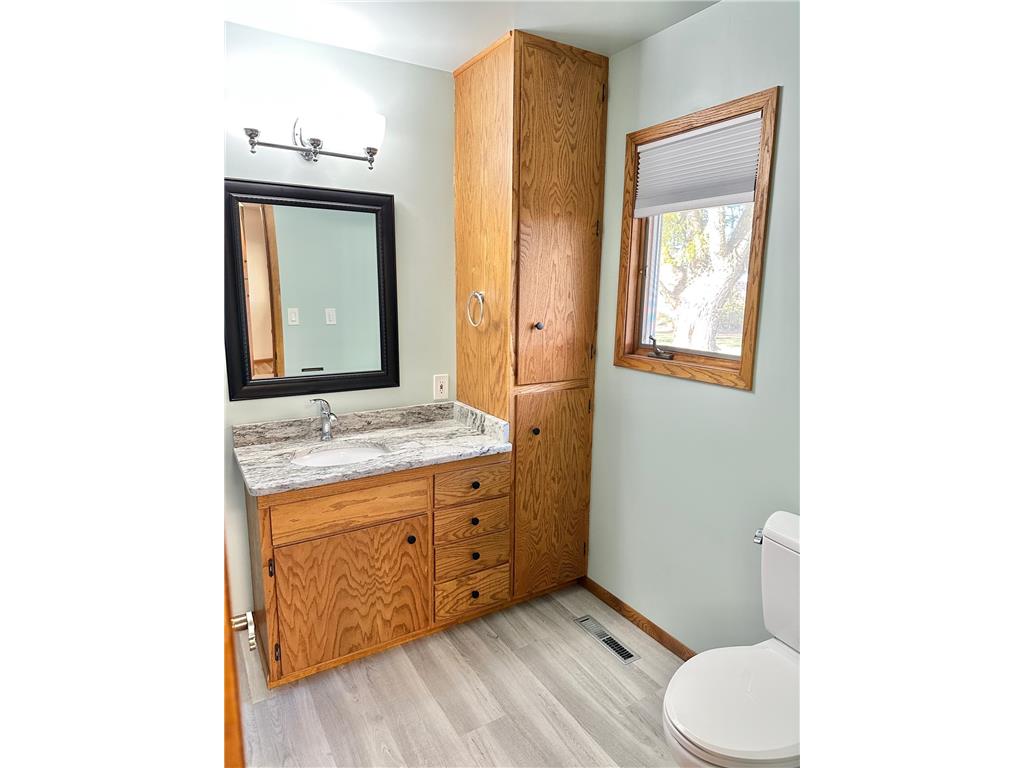 15742 675th Avenue Nunda Twp MN 56009 6785611 image13