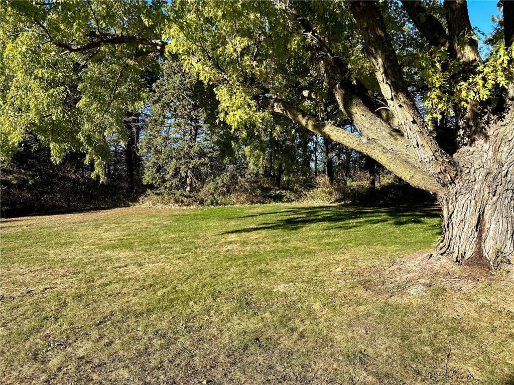 15742 675th Avenue Nunda Twp MN 56009 6785611 image55