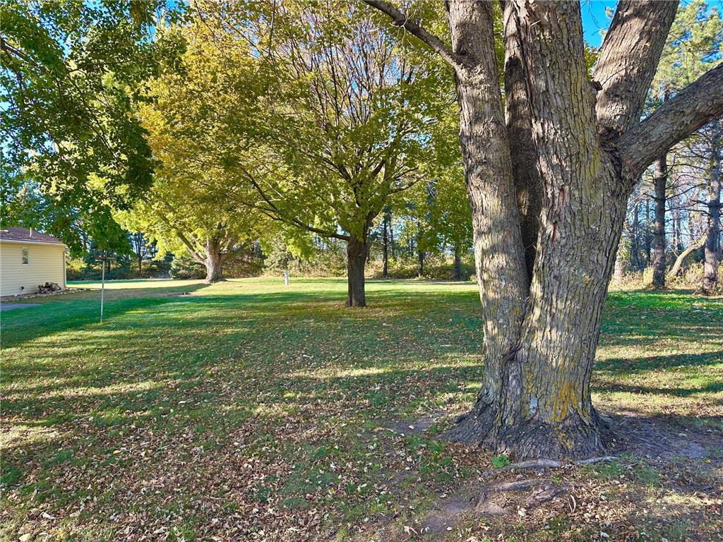 15742 675th Avenue Nunda Twp MN 56009 6785611 image57