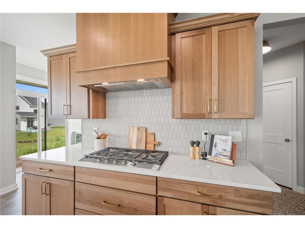 15746 Aquila Avenue Savage MN 55372 7053361 image10