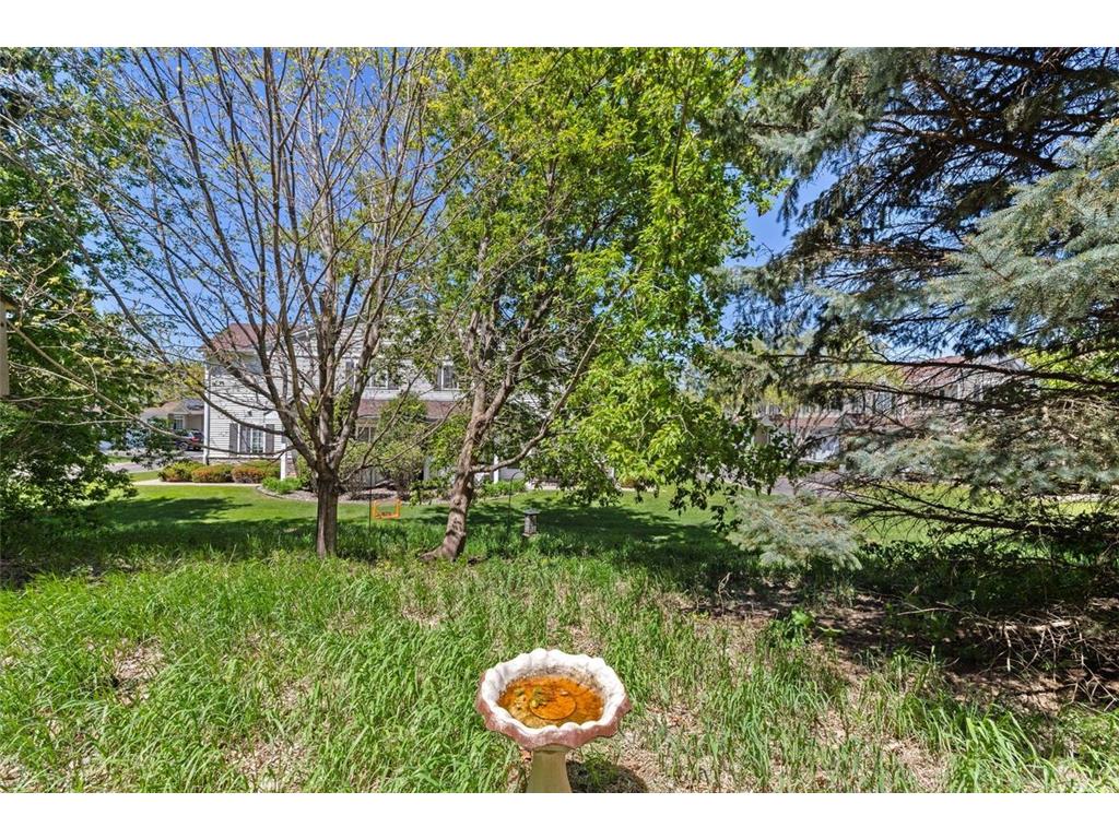 1576 139th Street W Rosemount MN 55068 7067673 image19