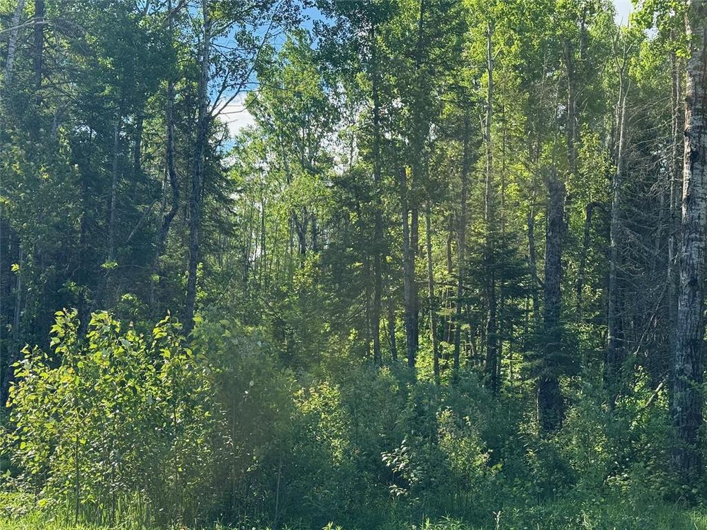 1576 County Road 8 Clear Creek Unorg. Terr. MN 55749 7092378 image1