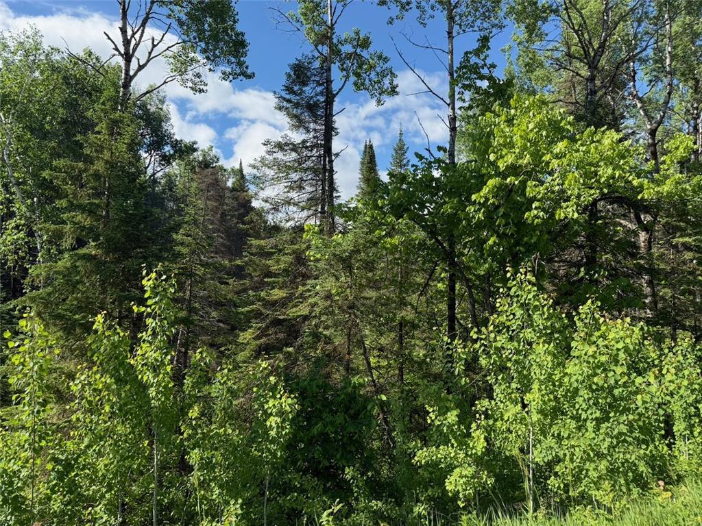 1576 County Road 8 Clear Creek Unorg. Terr. MN 55749 7092378 image10