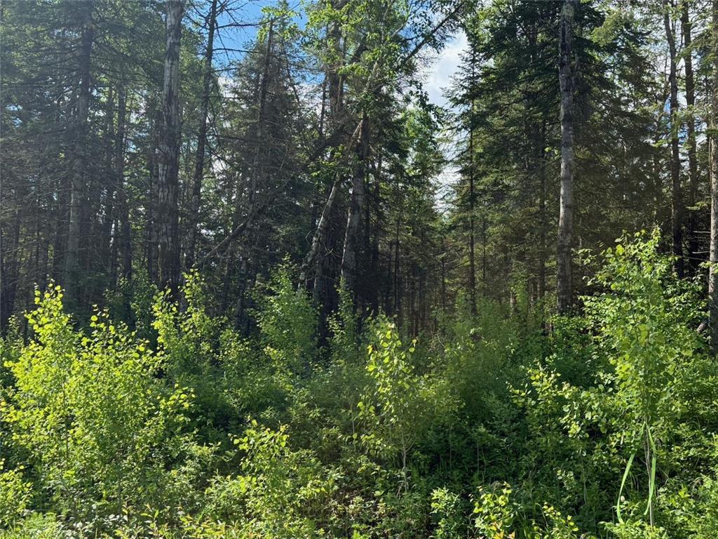 1576 County Road 8 Clear Creek Unorg. Terr. MN 55749 7092378 image11
