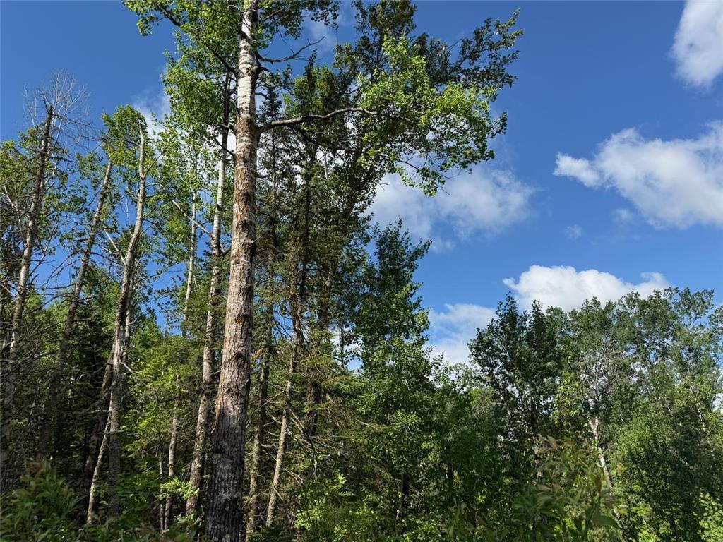 1576 County Road 8 Clear Creek Unorg. Terr. MN 55749 7092378 image2