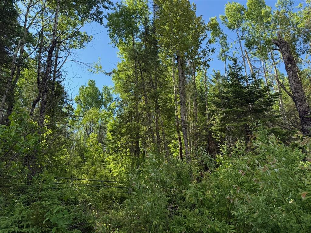 1576 County Road 8 Clear Creek Unorg. Terr. MN 55749 7092378 image3