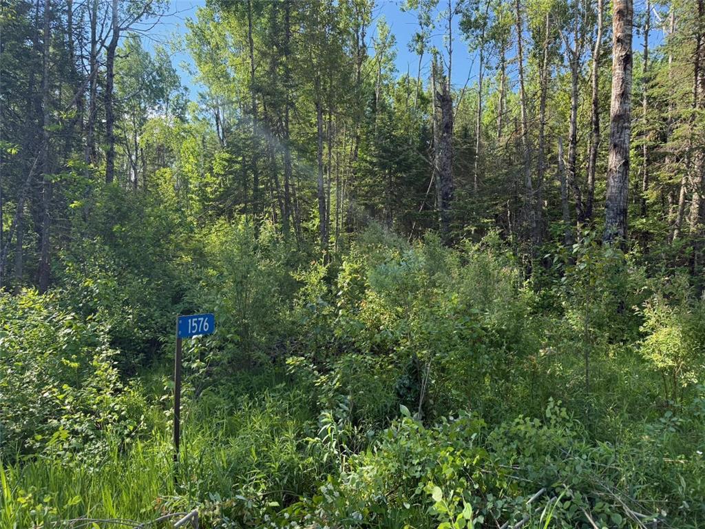 1576 County Road 8 Clear Creek Unorg. Terr. MN 55749 7092378 image4