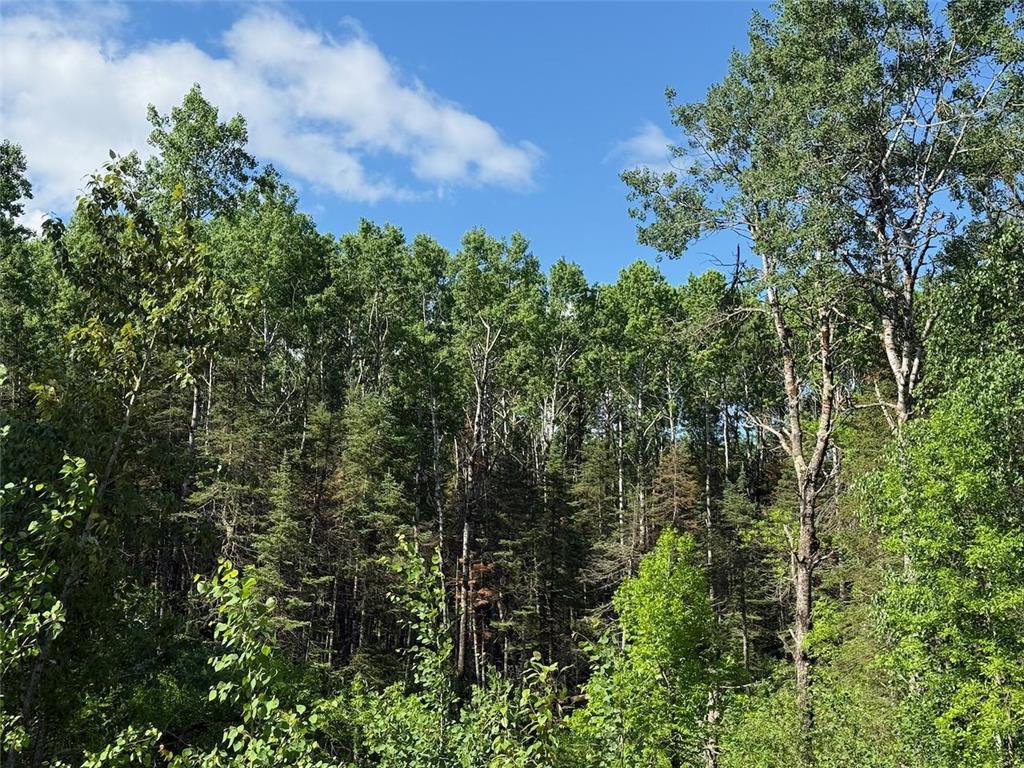 1576 County Road 8 Clear Creek Unorg. Terr. MN 55749 7092378 image5