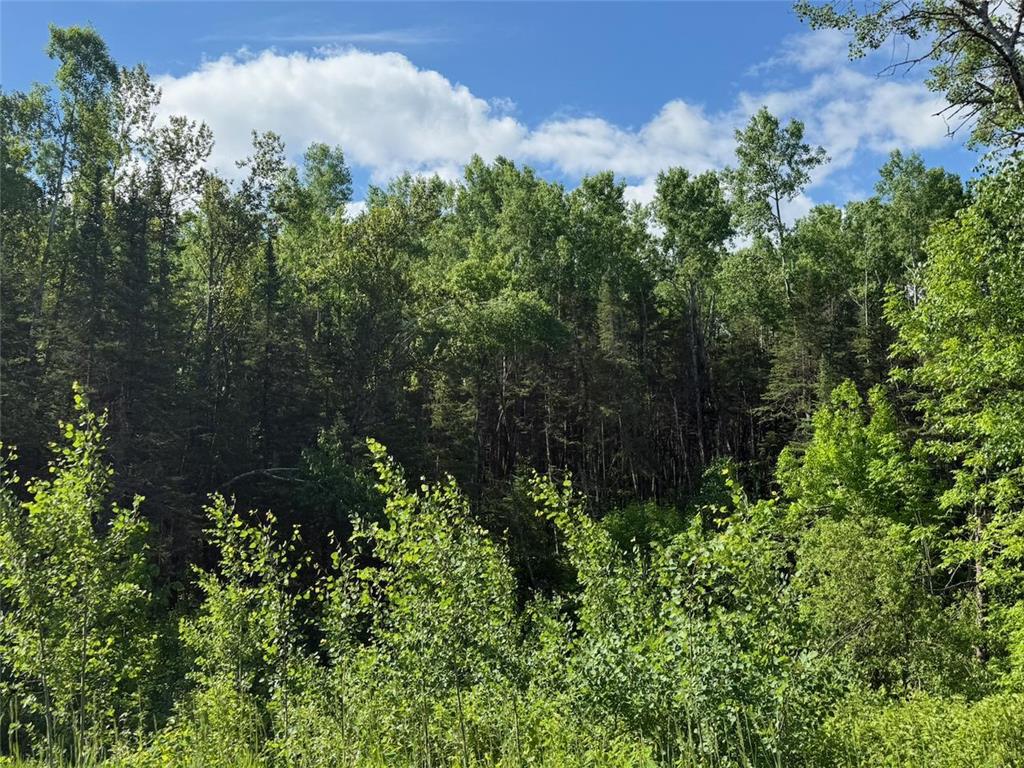 1576 County Road 8 Clear Creek Unorg. Terr. MN 55749 7092378 image7
