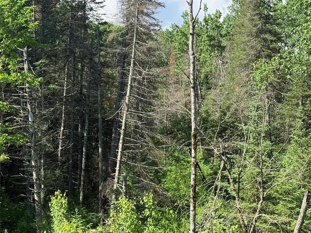 1576 County Road 8 Clear Creek Unorg. Terr. MN 55749 7092378 image8