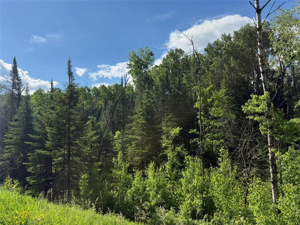 1576 County Road 8 Clear Creek Unorg. Terr. MN 55749 7092378 image9