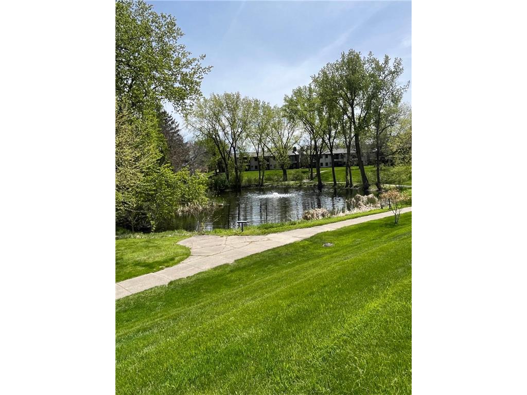 1577 Millpond Court #77 Chaska MN 55318 7062829 image1