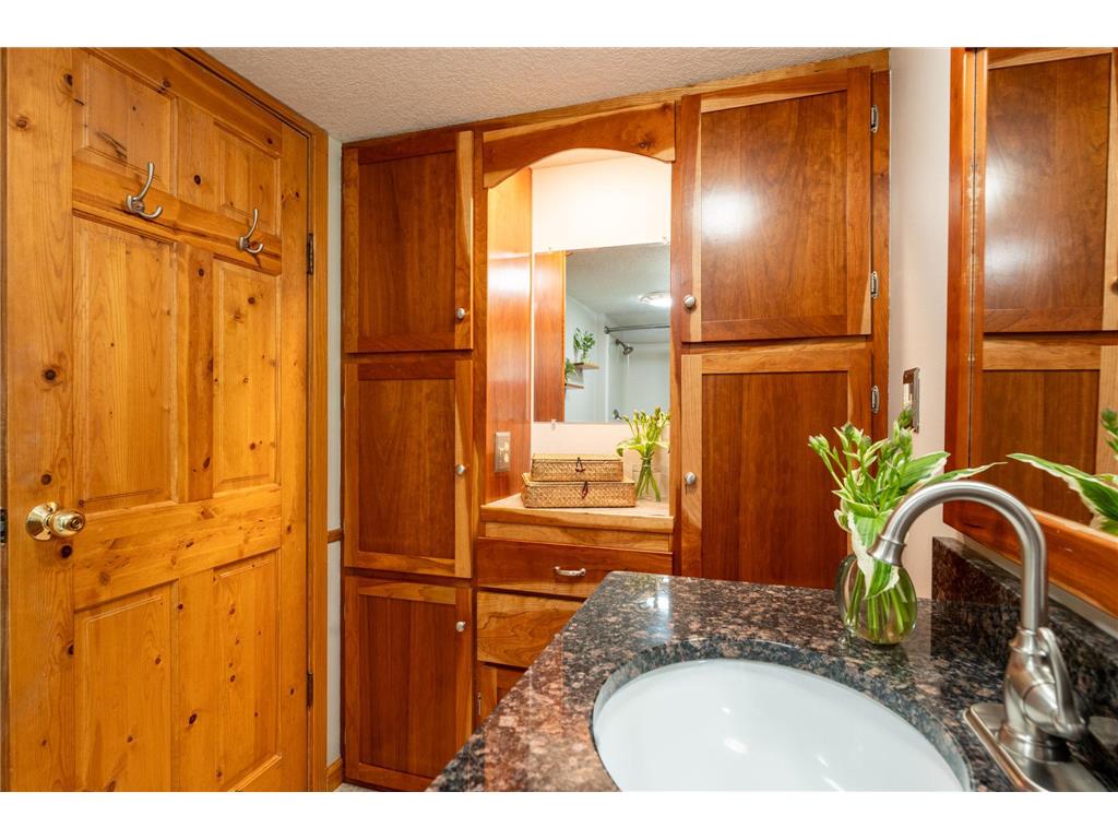 15771 Sherwood Trail Zumbrota MN 55992 7086655 image41
