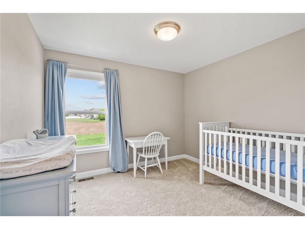 1578 Edgebrook Lane Carver MN 55315 7041638 image32