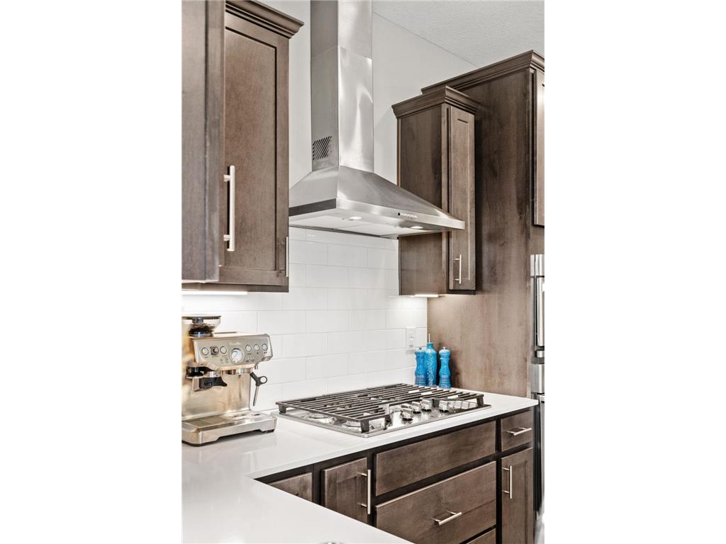 1578 Edgebrook Lane Carver MN 55315 7041638 image7