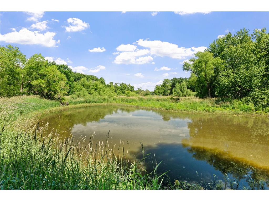 15790 78th Street Camden Twp MN 55360 - South Fork Crow River 7104907 image13