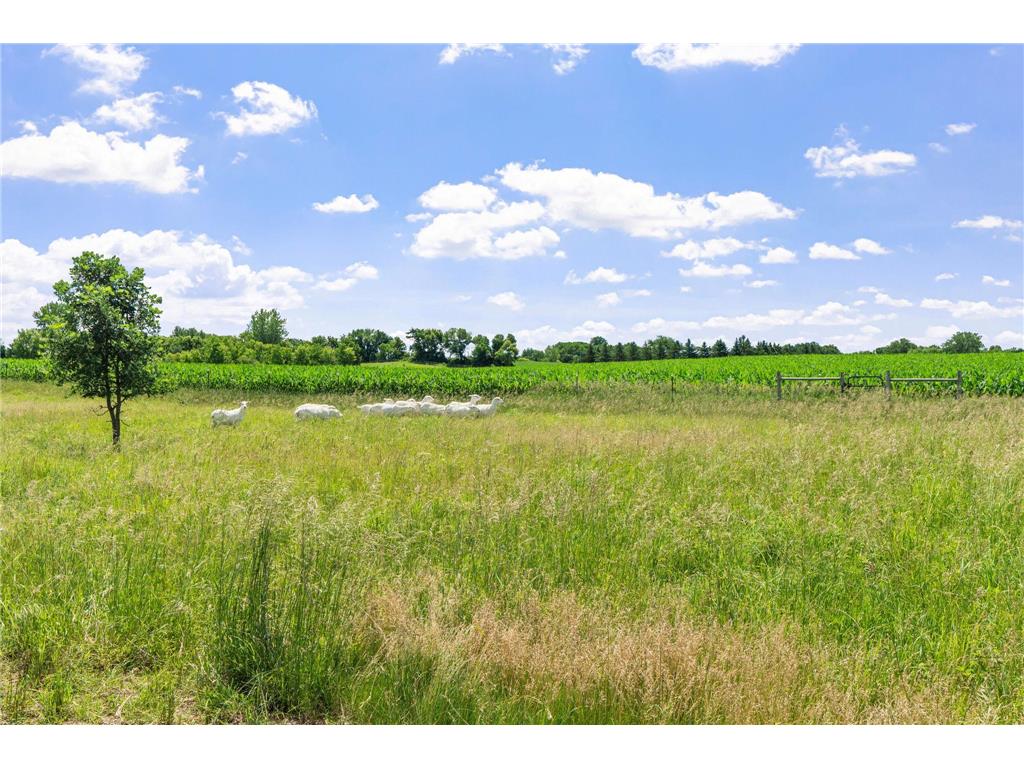 15790 78th Street Camden Twp MN 55360 - South Fork Crow River 7104907 image16