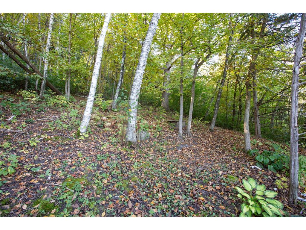 1580 E Division Street River Falls WI 54022 6812972 image30