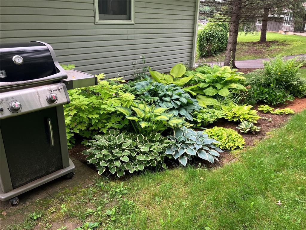 1580 E Division Street River Falls WI 54022 6812972 image40