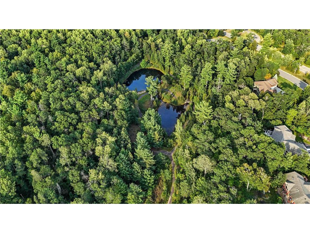 15800 Old Stonebridge Trail Brainerd MN 56401 6761898 image13