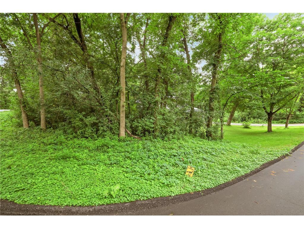 15801 Day Place Minnetonka MN 55345 7107824 image48