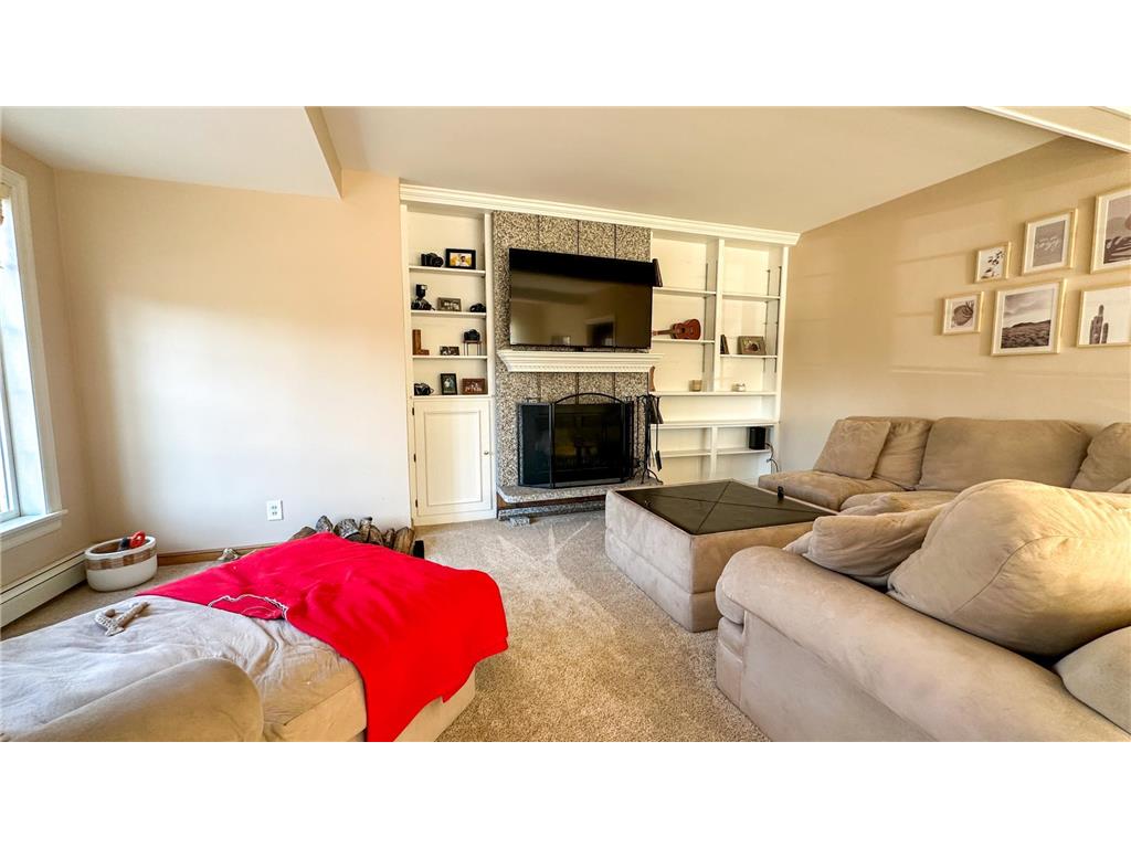 15808 County Road 49 Wakefield Twp MN 56320 7041168 image13