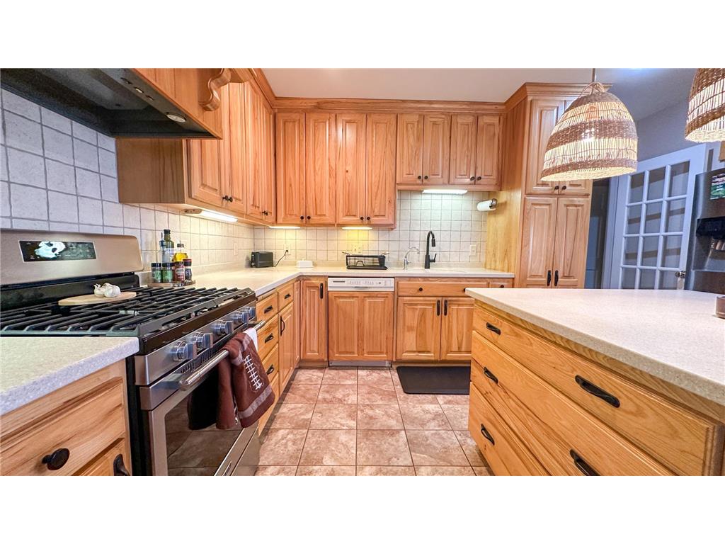 15808 County Road 49 Wakefield Twp MN 56320 7041168 image48