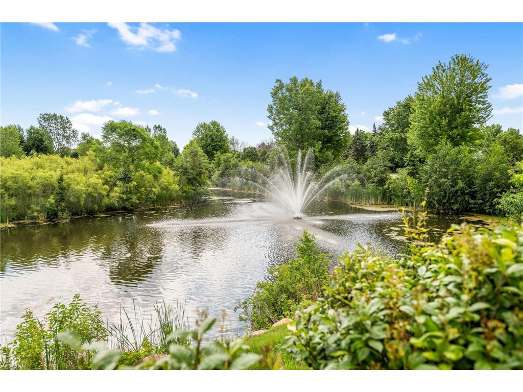 15809 50th Place N Plymouth MN 55446 7097526 image45