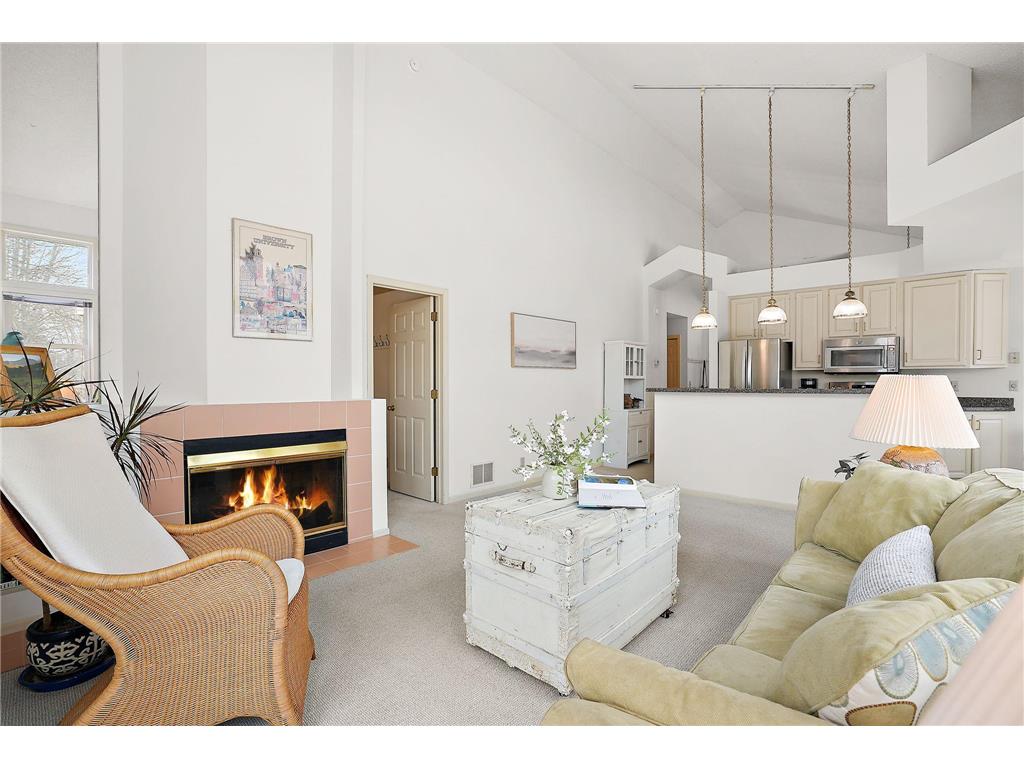 15820 15th Place N Plymouth MN 55447 7003011 image6