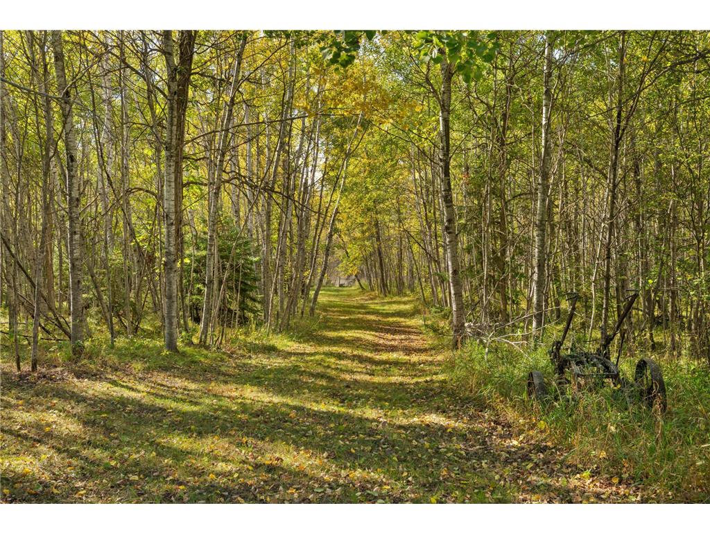 15823 169th Avenue Park Rapids MN 56470 6801952 image24