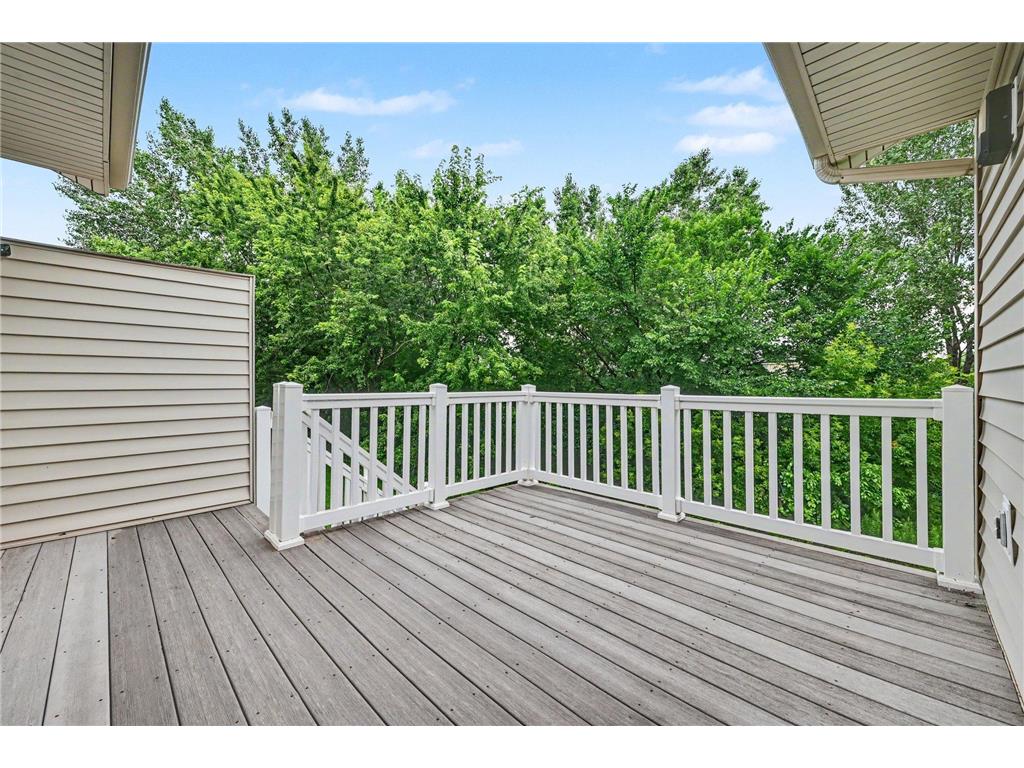 15824 Cicerone Path Rosemount MN 55068 7102976 image35