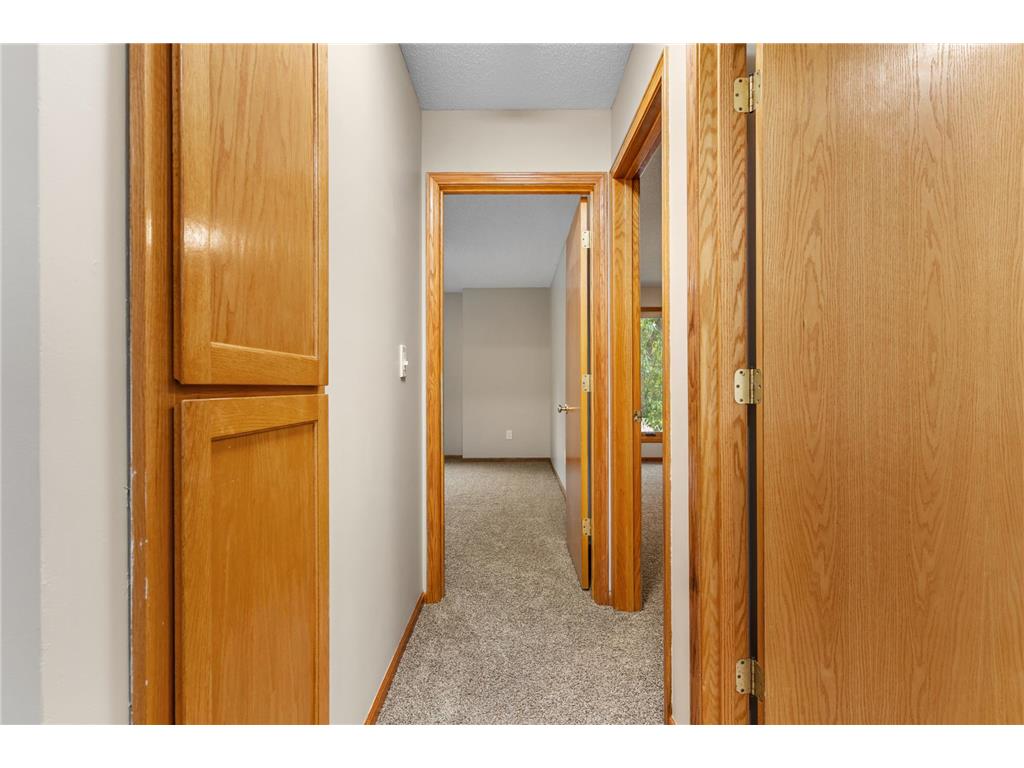 1585 Millpond Court Chaska MN 55318 7091548 image13