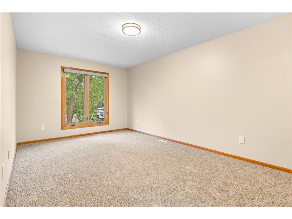 1585 Millpond Court Chaska MN 55318 7091548 image18