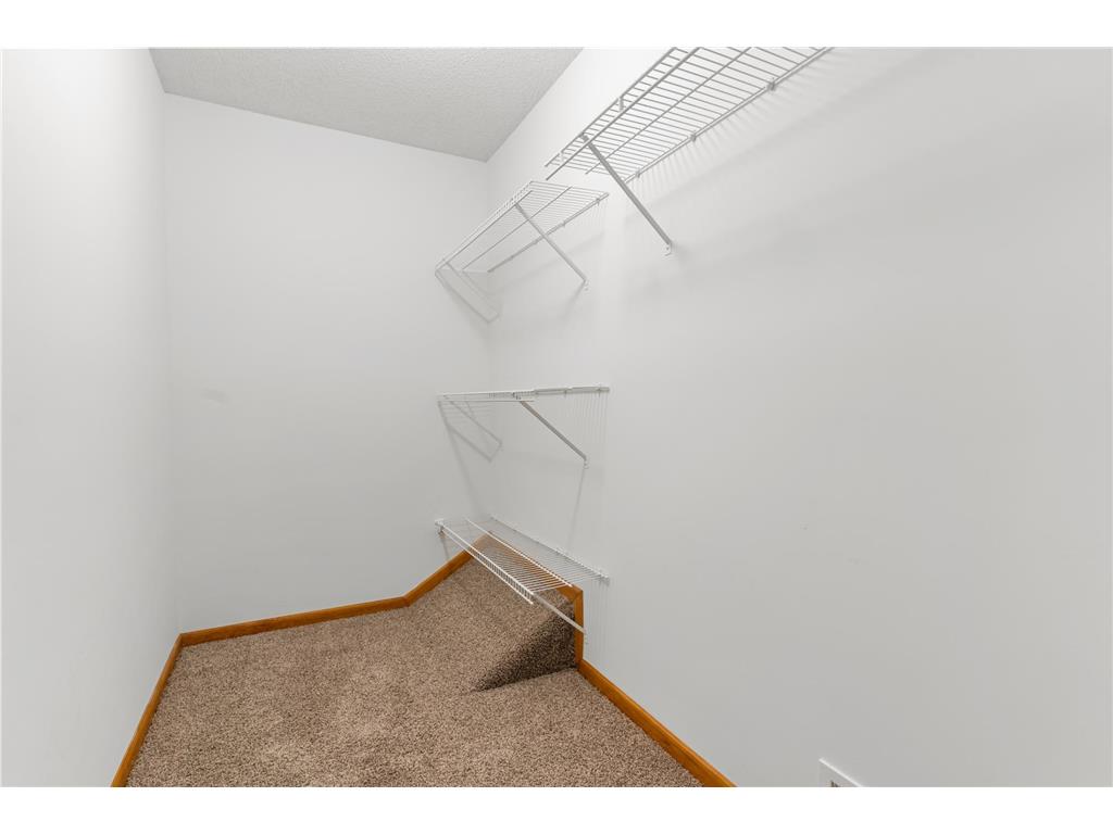 1585 Millpond Court Chaska MN 55318 7091548 image20