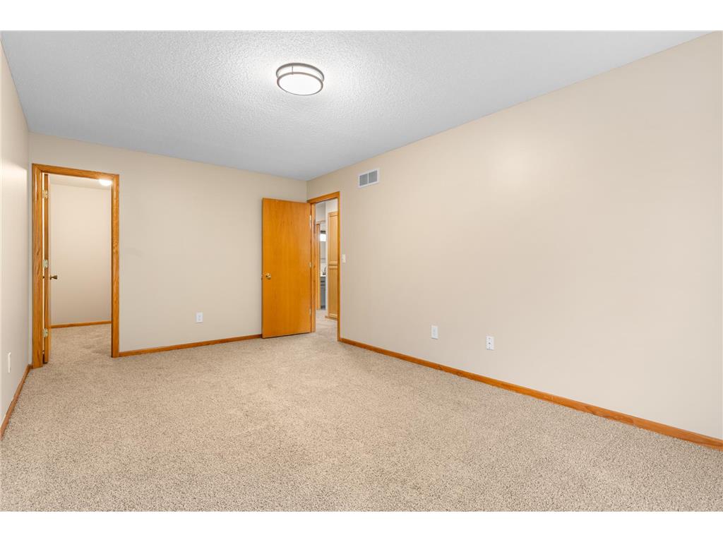 1585 Millpond Court Chaska MN 55318 7115860 image19