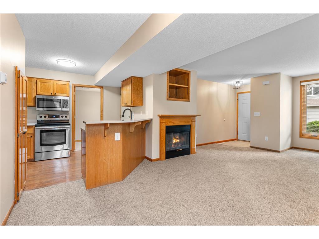 1585 Millpond Court Chaska MN 55318 7115860 image4