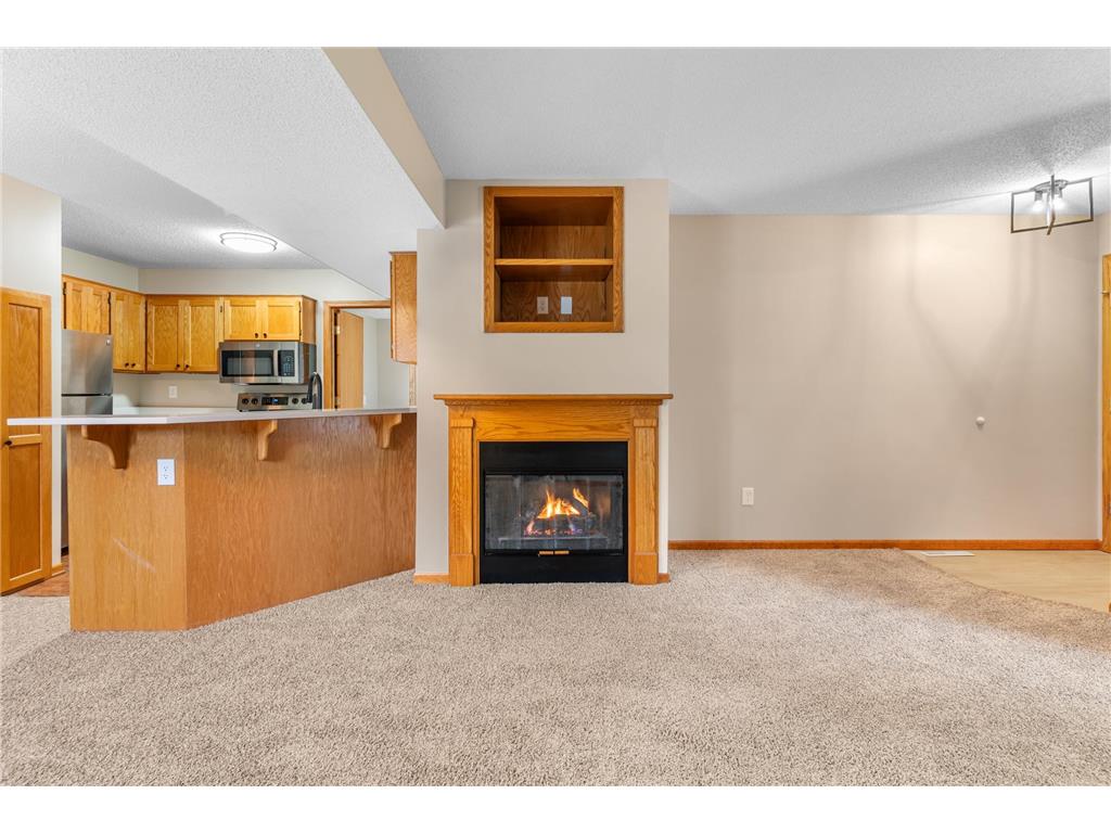1585 Millpond Court Chaska MN 55318 7115860 image5